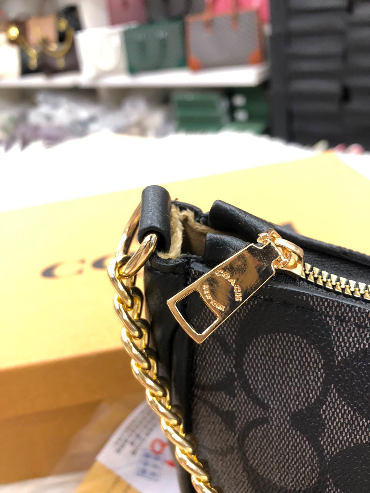 Coach Teri Bags (with box & long strap & dustbag)