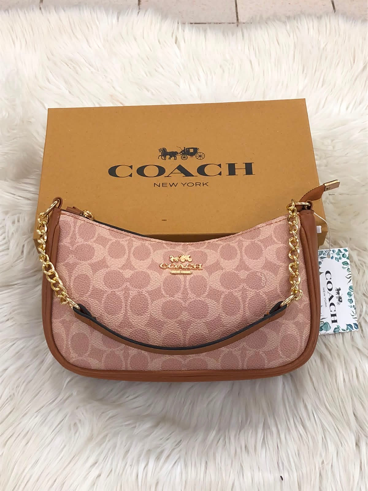 Coach Teri Bags (with box & long strap & dustbag)